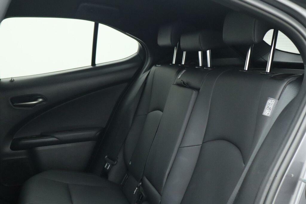 Lexus UX 300E 150Kw 72.8 Kwh E-cvt Grey #12