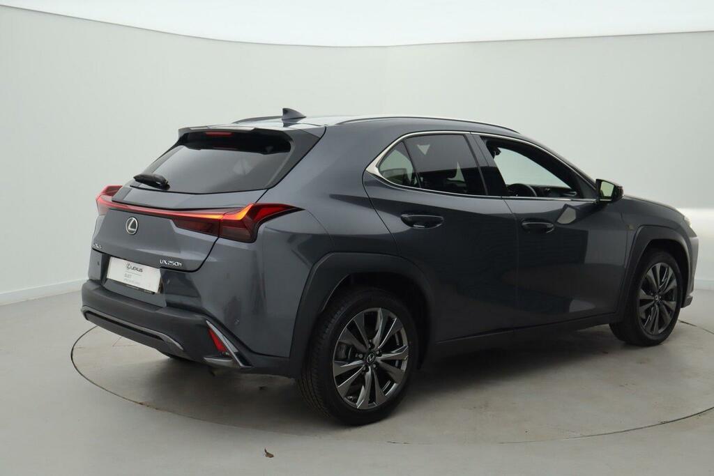 Lexus UX 300E 150Kw 72.8 Kwh E-cvt Grey #8