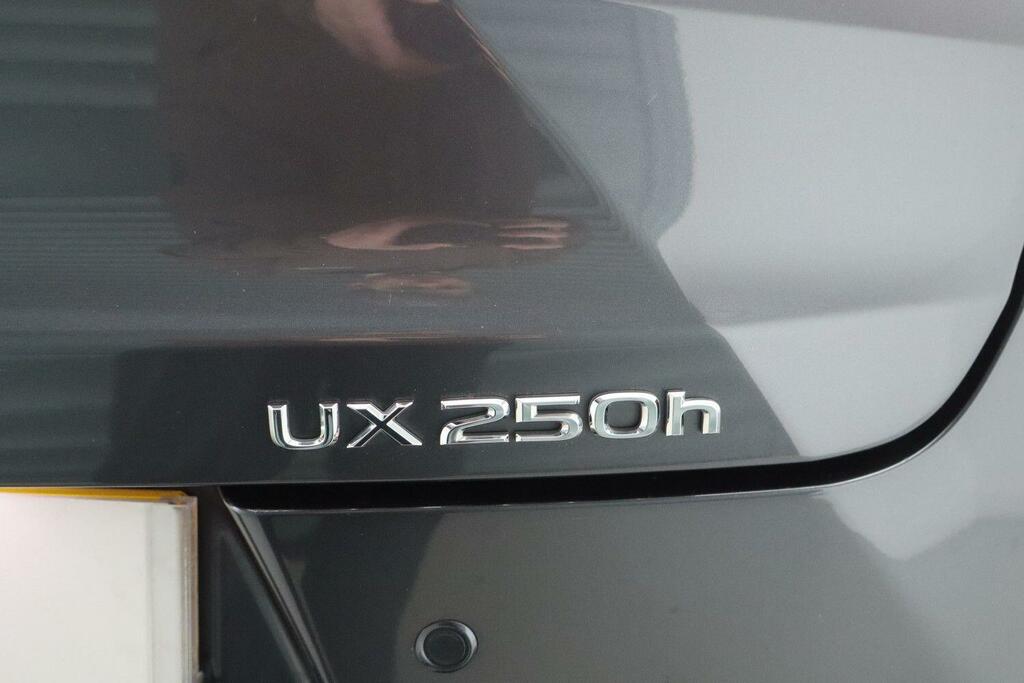Lexus UX 300E 150Kw 72.8 Kwh E-cvt Grey #34