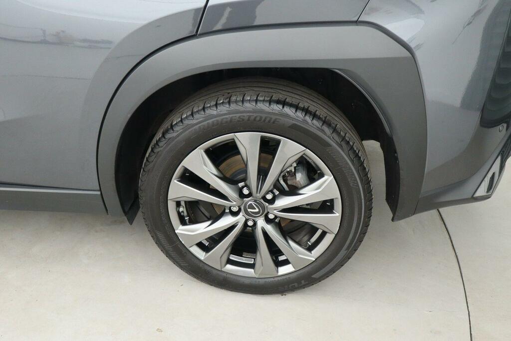 Lexus UX 300E 150Kw 72.8 Kwh E-cvt Grey #24