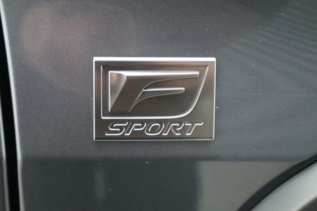 Lexus UX 300E 150Kw 72.8 Kwh E-cvt Grey #15