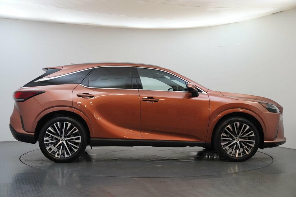 Lexus RX 2.5 350H Prem Plus E-cvt 4Wd Euro 6 Ss Brown #6