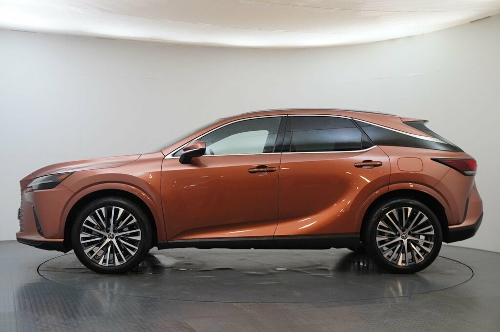 Lexus RX 2.5 350H Prem Plus E-cvt 4Wd Euro 6 Ss Brown #4