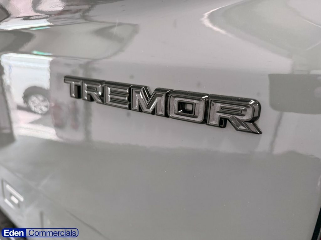 Ford Ranger 2.0 Td Ecoblue Wildtrak X 4Wd Euro 6 Ss Grey #8
