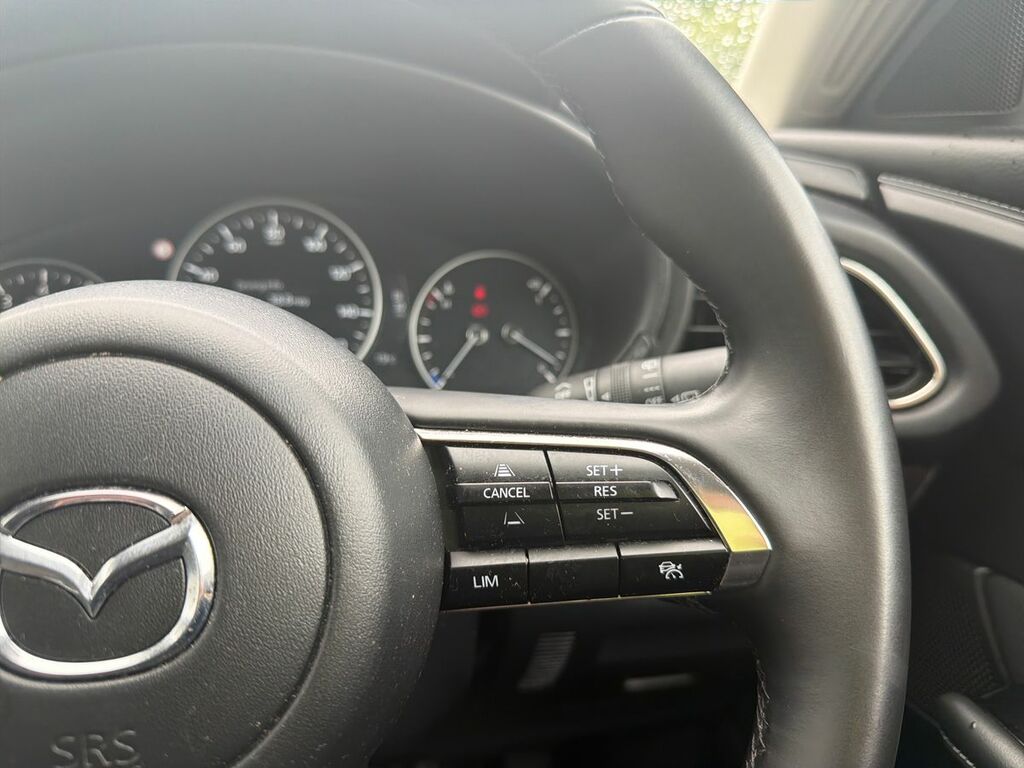 Mazda CX-30 2.5 E Skyactiv G Mhev Homura Suv Blue #17