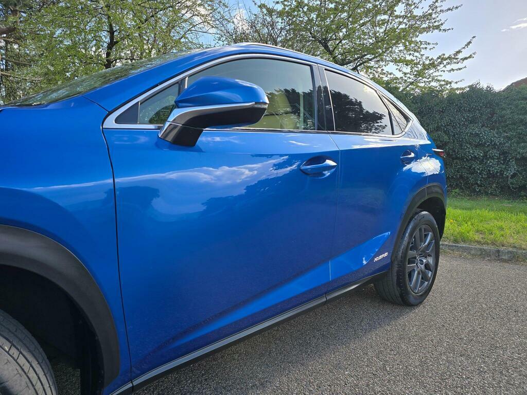 Lexus NX 2.5 300H Luxury E-cvt 4Wd Euro 6 S S Blue #6