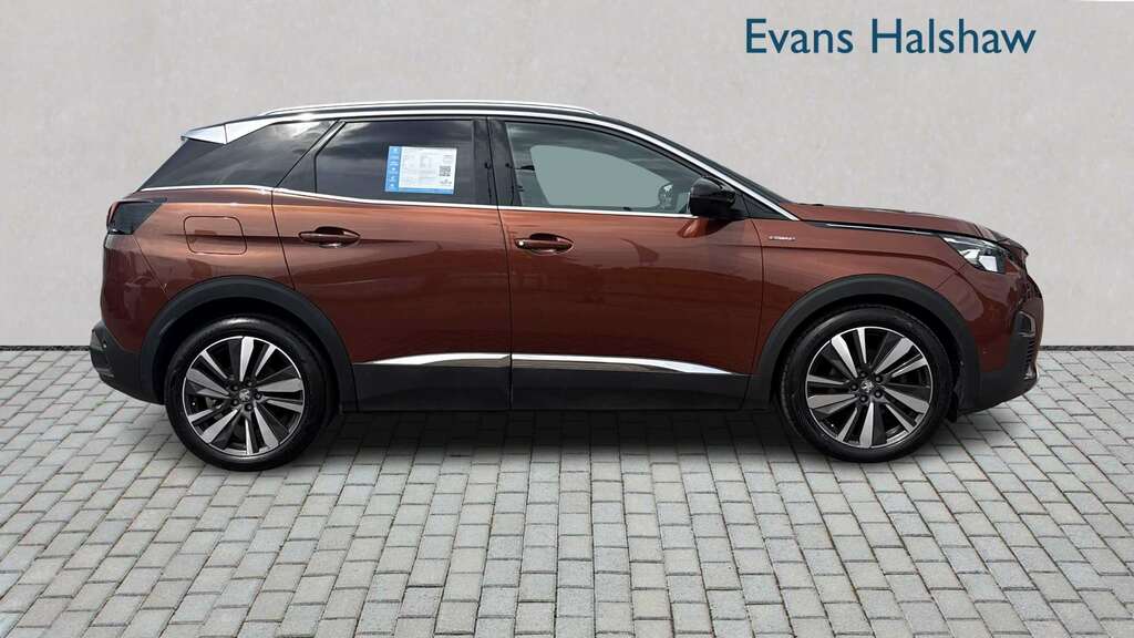 Peugeot 3008 1.5 Bluehdi Gt Line Premium 2020 Brown #6