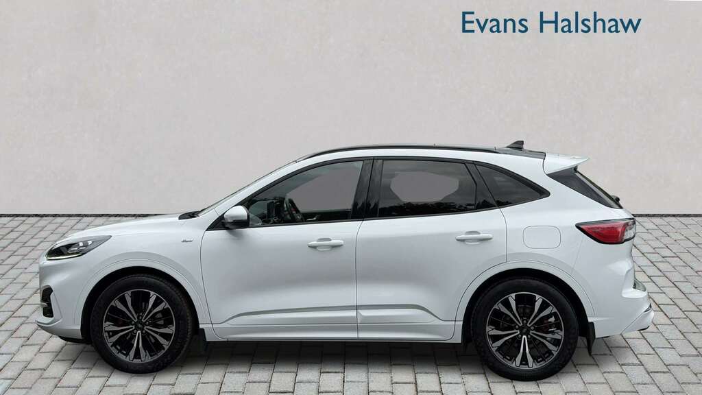 Ford Kuga 2.0 Ecoblue Mhev St-line X 2020 PX70JJY White #6