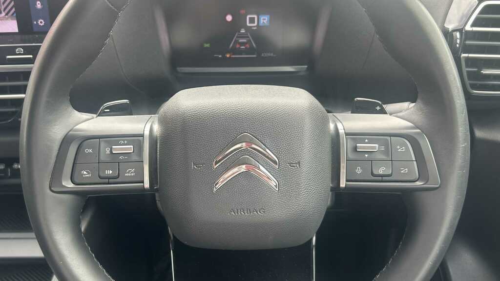 Citroen C4 1.2 Puretech Max Euro 6 Ss Grey #9