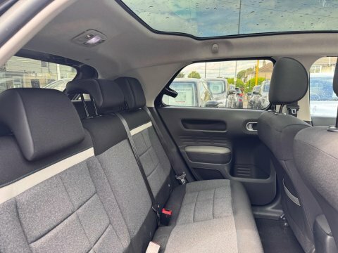 Citroen C4 Cactus 1.5 Bluehdi Flair Grey #12