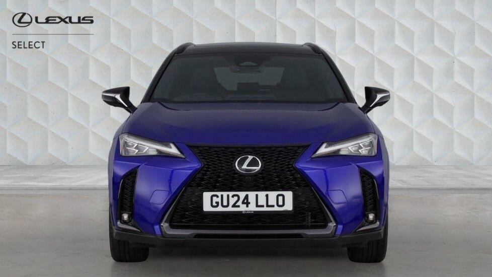 Lexus UX 300H F-sport Takumi Blue #2