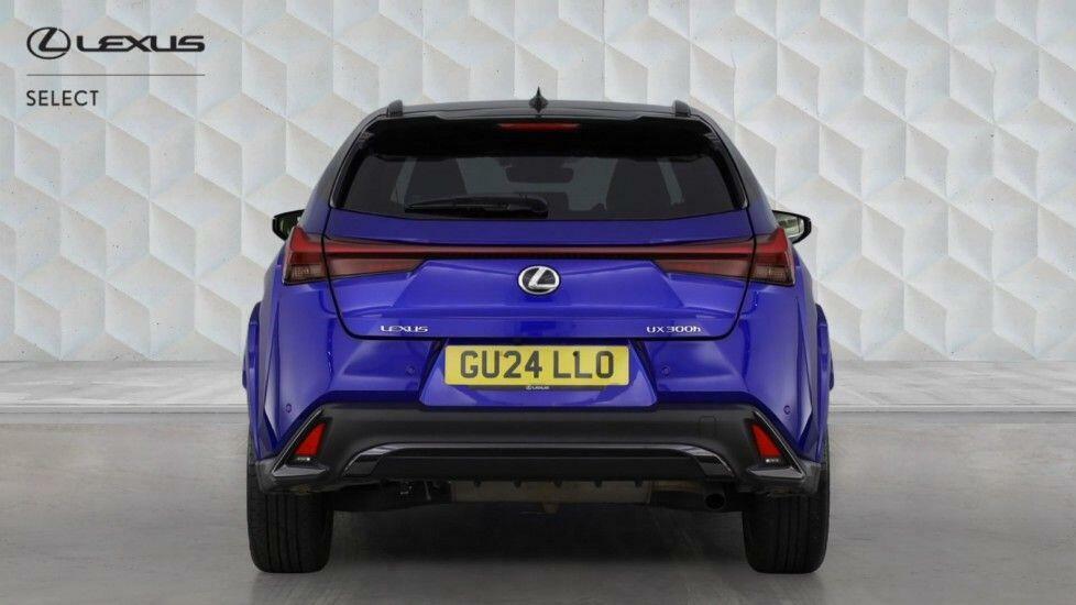 Lexus UX 300H F-sport Takumi Blue #6