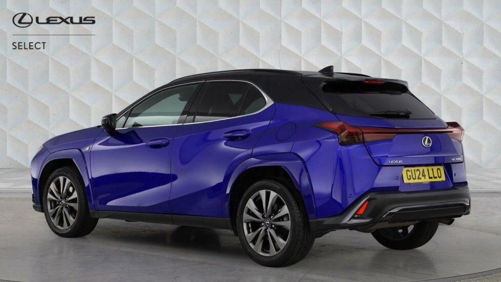 Lexus UX 300H F-sport Takumi Blue #4