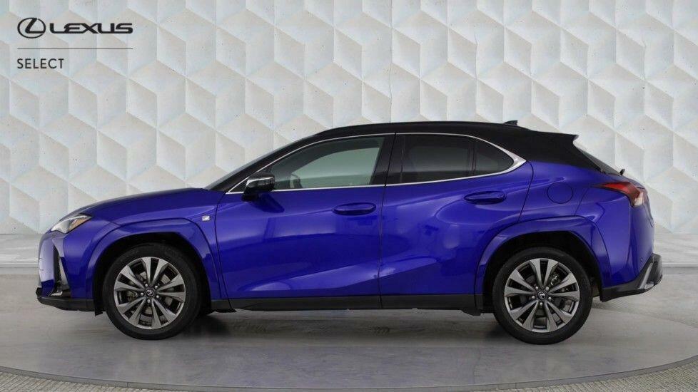 Lexus UX 300H F-sport Takumi Blue #5