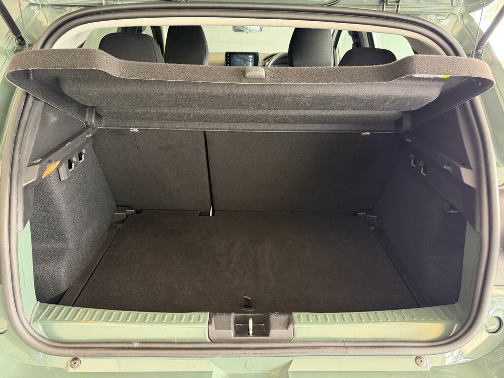 Dacia Sandero Stepway Hatchback SK25WKF Green #5