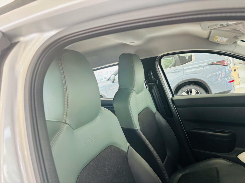 Dacia Spring Spring Extreme Ev Green #26