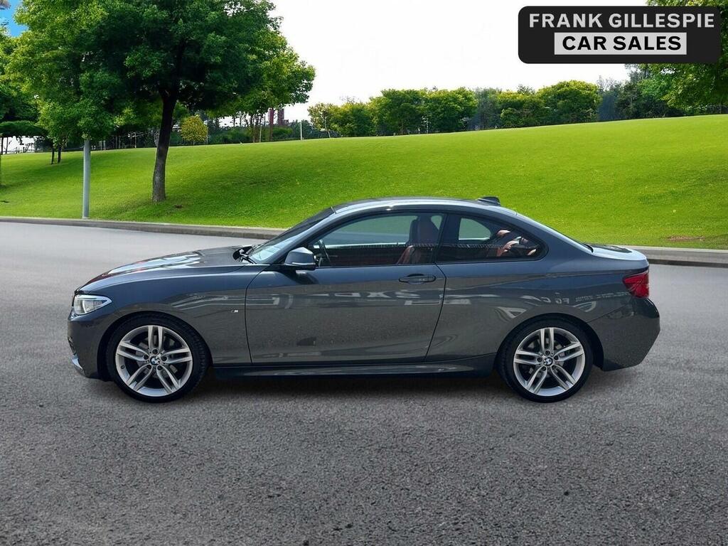BMW 2 Series 2.0 220D M Sport Euro 6 Ss Grey #2