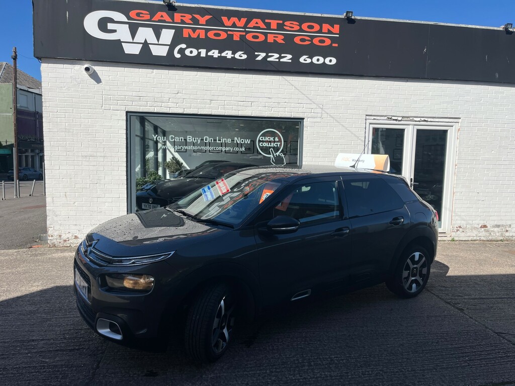 Citroen C4 Cactus Puretech Flair Ss #2