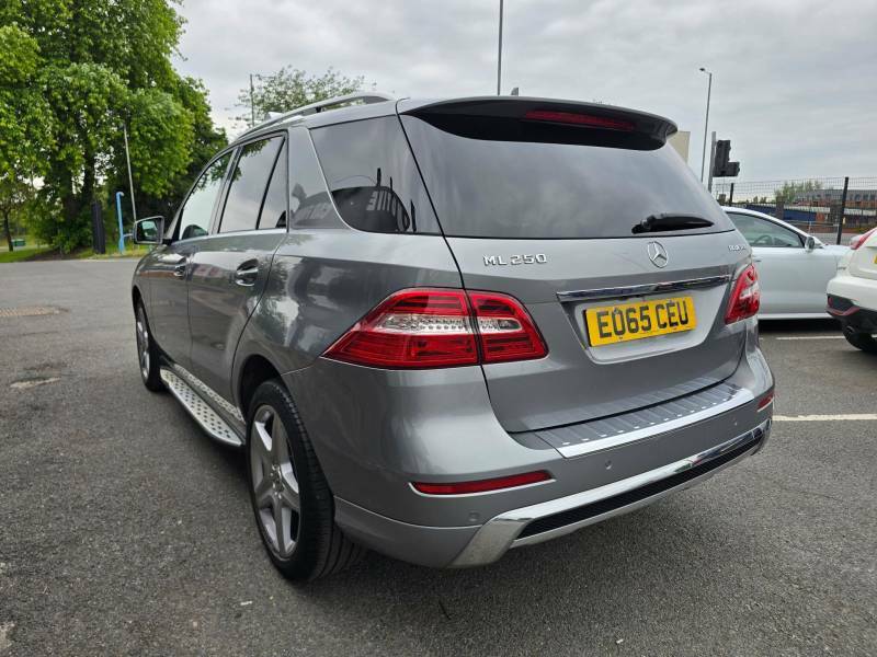 Mercedes-Benz M Class 2.1 Ml250 Bluetec Amg Line G-tronic 4Wd Euro 6 S Silver #5