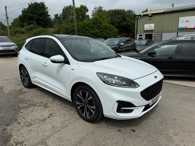Ford Kuga 1.5 Ecoblue St-line X Edition Suv Manua White