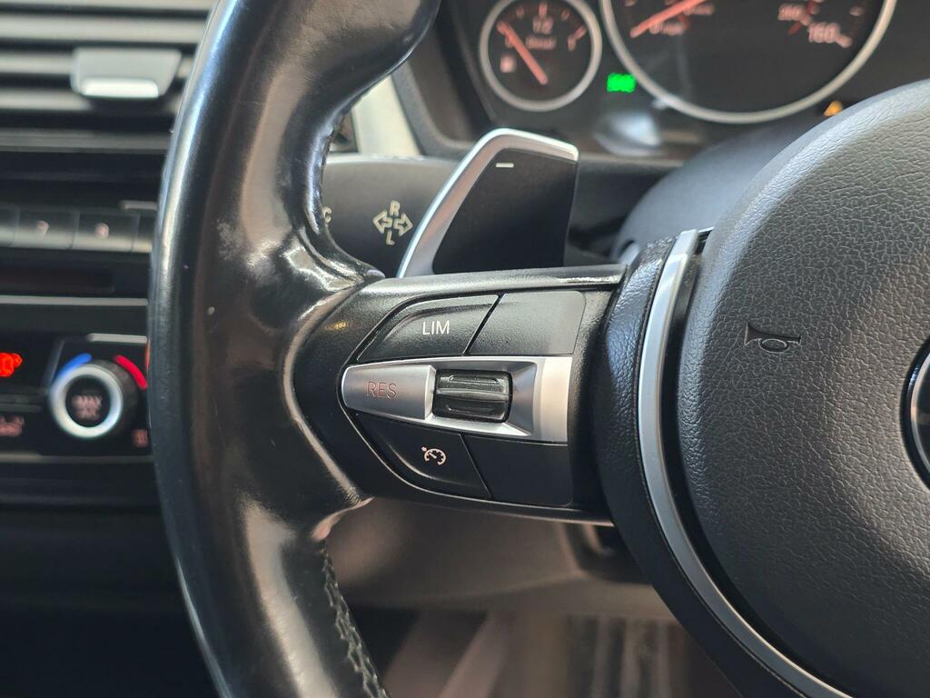BMW 3 Series 320D Luxury Step Blue #27