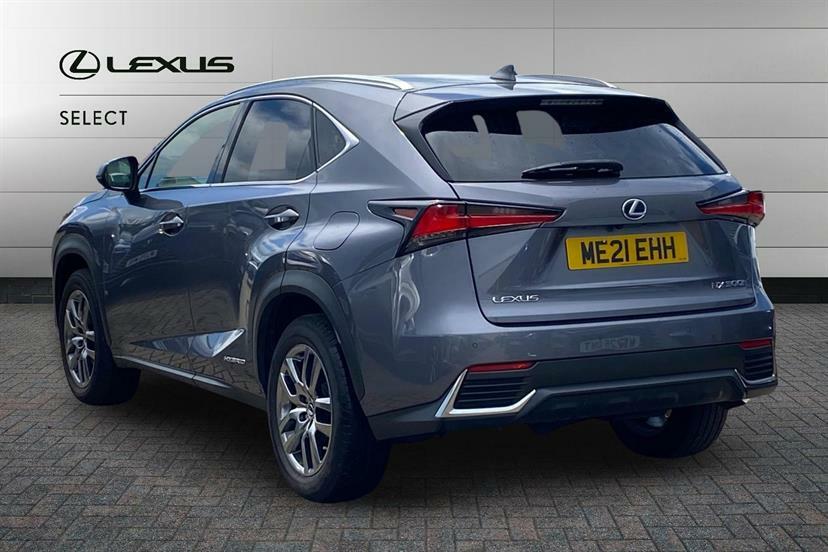 Lexus NX 300H 2.5 Cvt Premium Packleather Grey #3