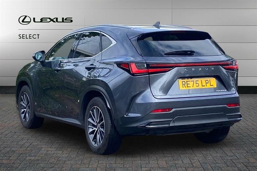 Lexus NX 350H 2.5 Premium E-cvt Grey #3