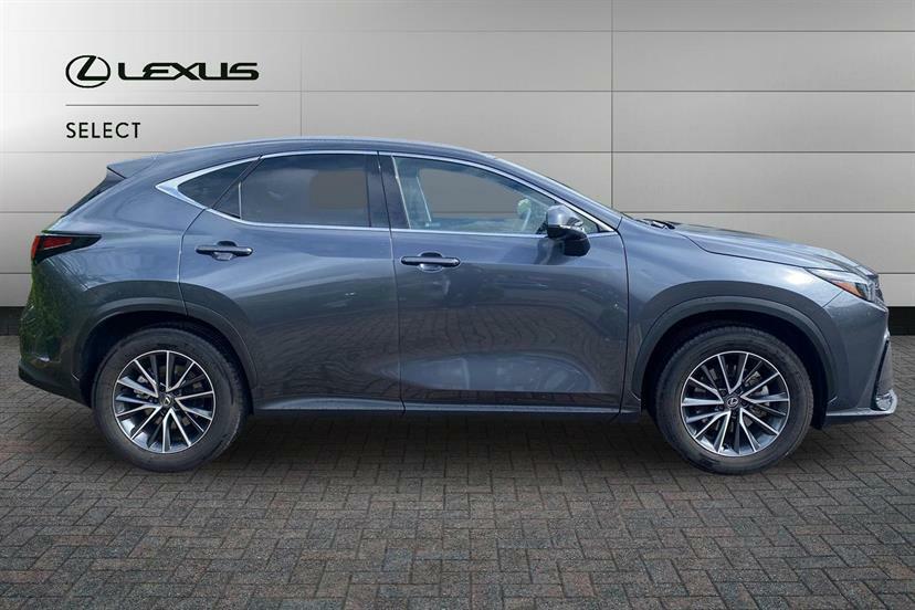 Lexus NX 350H 2.5 Premium E-cvt Grey #4