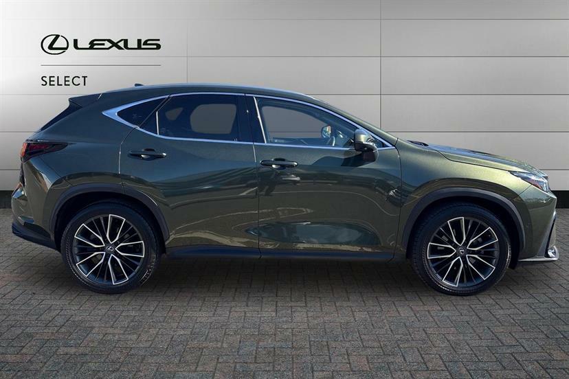 Lexus NX 350H 2.5 Takumi E-cvt Pan Roof  #3