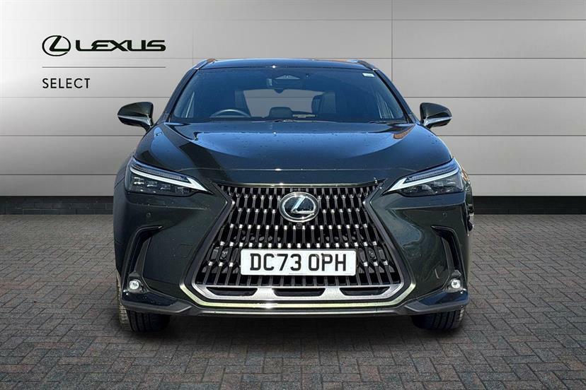 Lexus NX 350H 2.5 Takumi E-cvt Pan Roof  #6