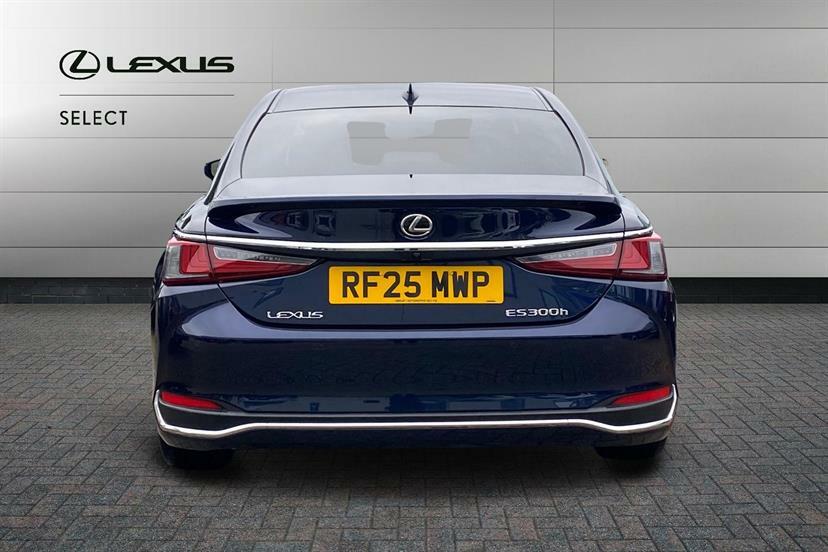Lexus ES 300H 2.5 Premium Plus Cvt Grey #10