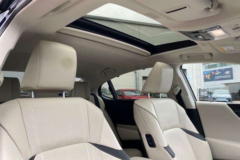 Lexus ES 300H 2.5 Premium Plus Cvt Grey #14