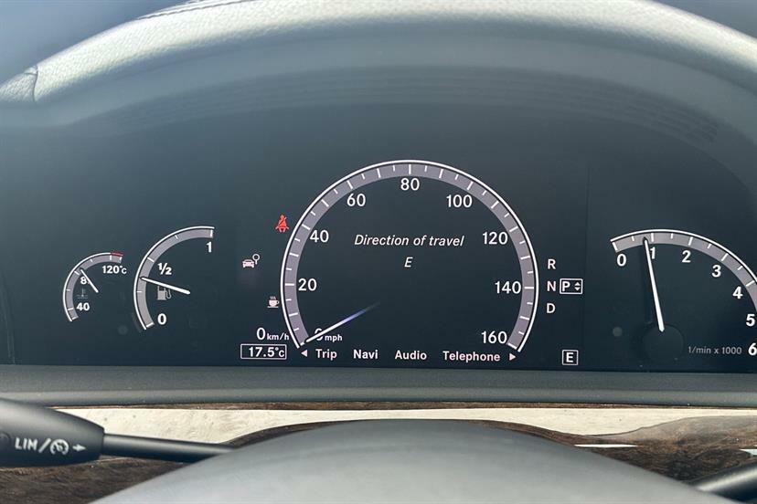 Mercedes-Benz S Class S350 Bluetec L Silver #19