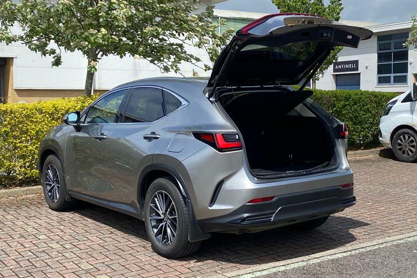 Lexus NX Nx450h Takumi Grey #18