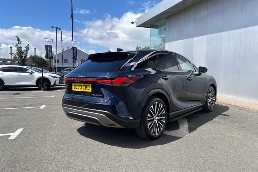Lexus RX 2.5 Prem Plus E-cvt 4Wd Euro 6 Ss Grey #44