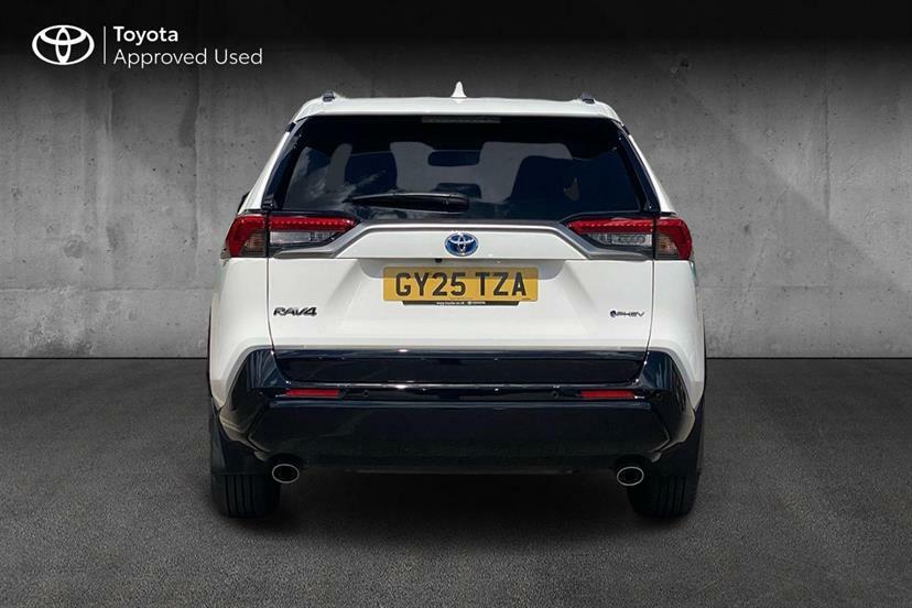 Toyota Rav 4 Design Grey #18