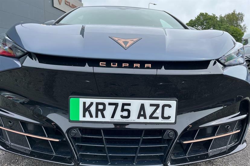 Cupra Tavascan V1 Grey #13