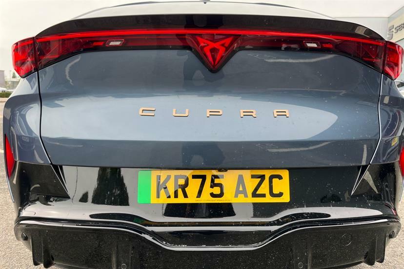 Cupra Tavascan V1 Grey #18