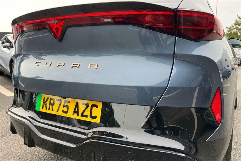 Cupra Tavascan V1 Grey #19