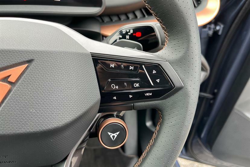 Cupra Tavascan V1 Grey #30