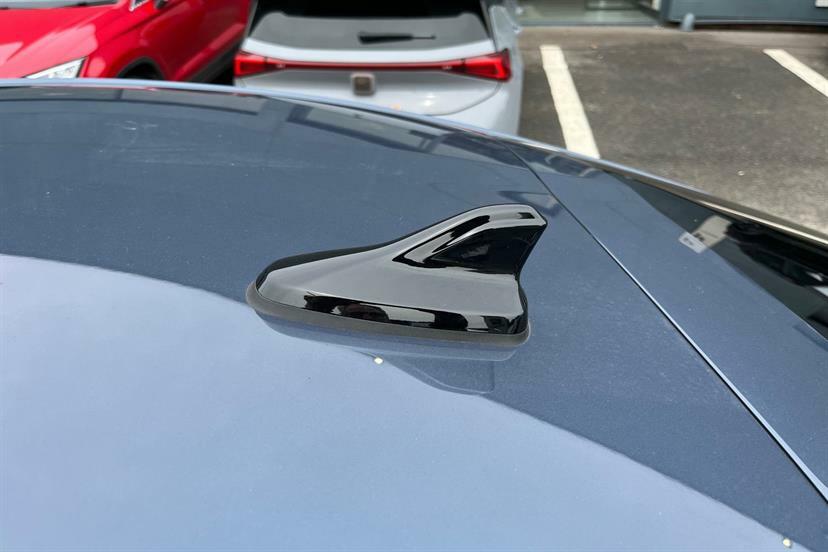 Cupra Tavascan V1 Grey #16