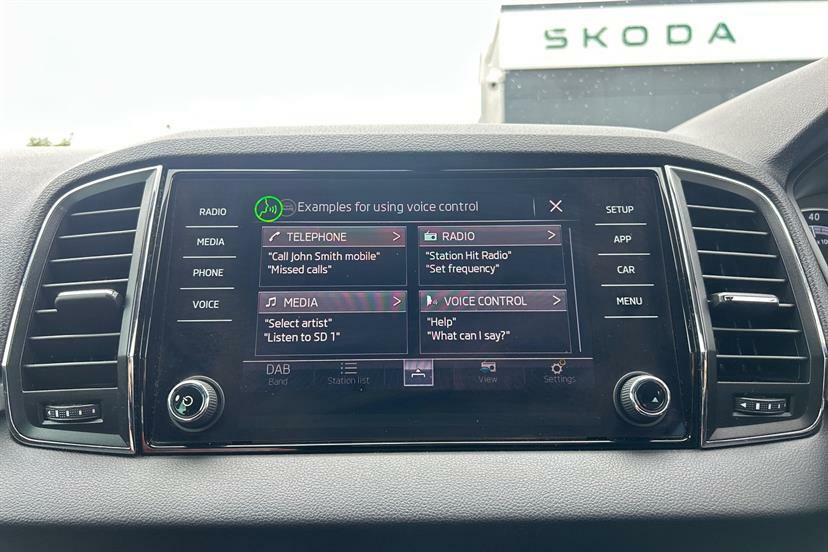 Skoda Karoq Edition Grey #23