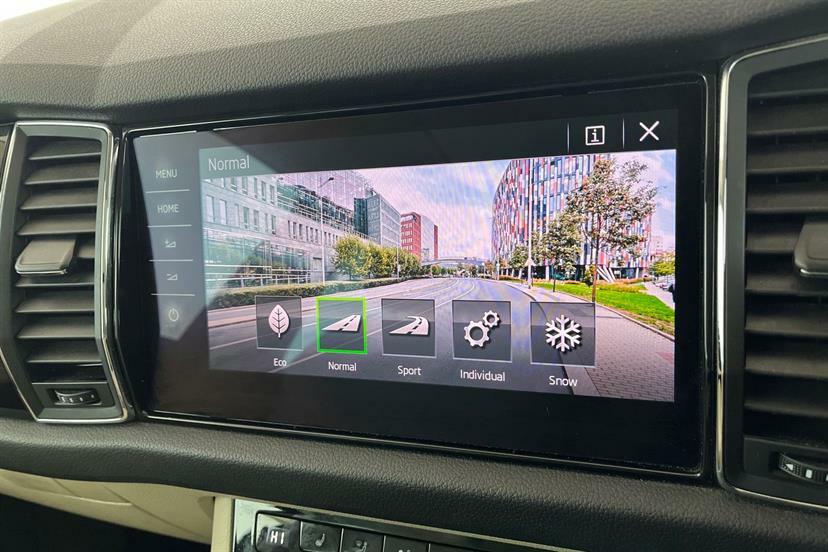 Skoda Kodiaq 2.0 Tdi Se Technology Grey #22