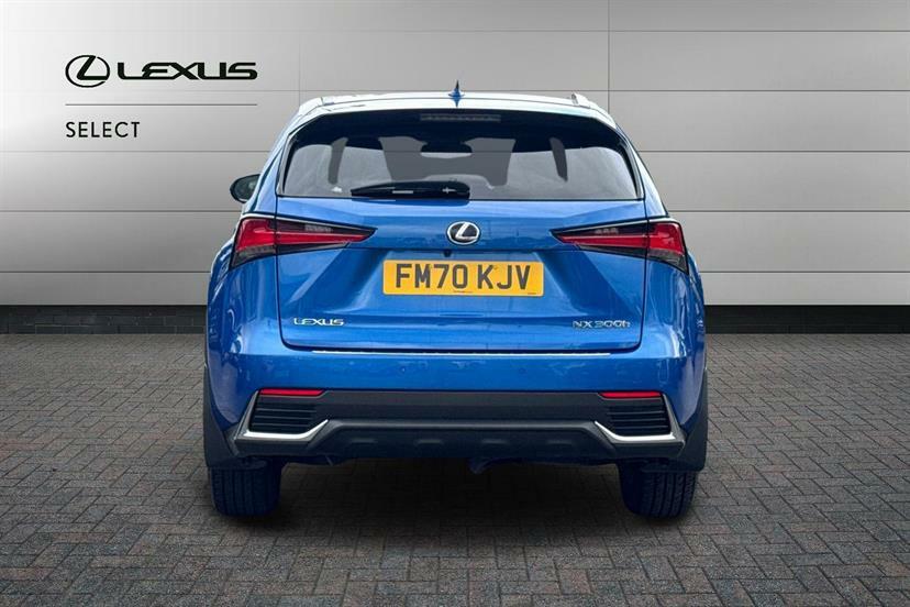 Lexus NX 2.5 300H E-cvt 4Wd Euro 6 Ss Silver #10