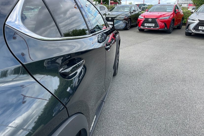 Lexus UX 300E 150Kw 54.3 Kwh E-cvt Premium-pluspk-18al Black #29