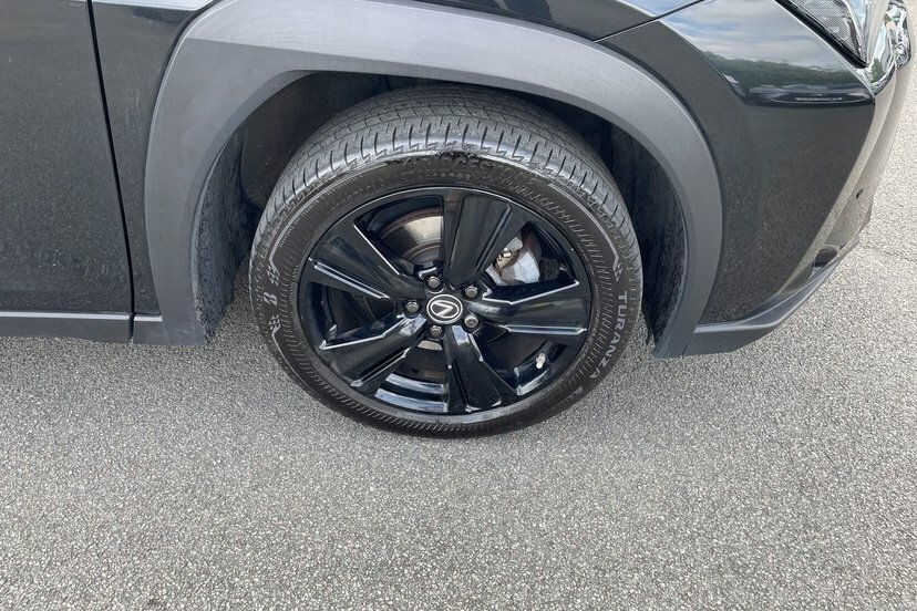 Lexus UX 300E 150Kw 54.3 Kwh E-cvt Premium-pluspk-18al Black #13