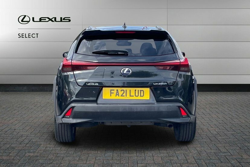 Lexus UX 300E 150Kw 54.3 Kwh E-cvt Premium-pluspk-18al Black #10