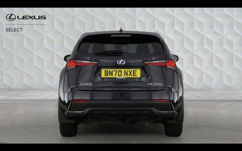 Lexus NX 2.5 300H F Sport Red #6
