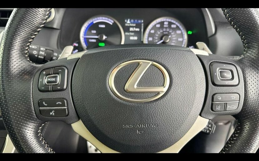 Lexus NX 2.5 300H F Sport Red #20