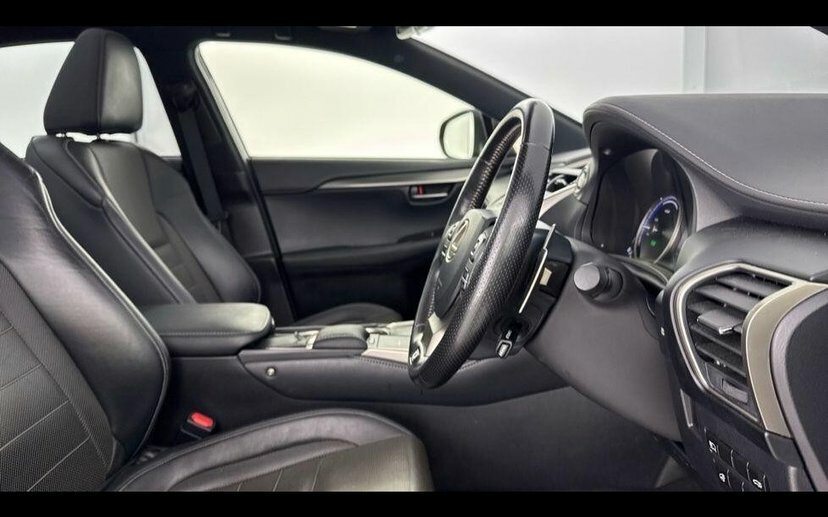 Lexus NX 2.5 300H F Sport Red #10